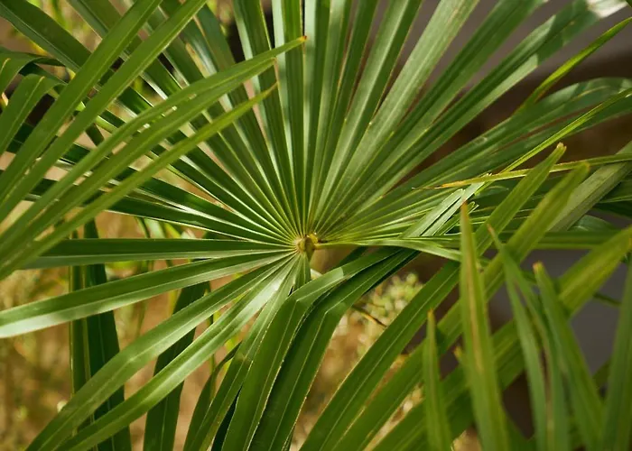 Atypique - Jacuzzi Prive , Centre 公寓 *